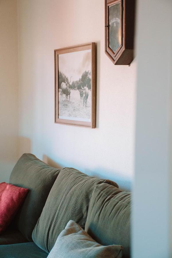 Just Like Home - Casa Antonio Em Paredes De Coura Bagian luar foto